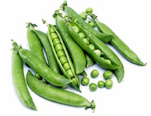 Aktuell: Zuckererbsen